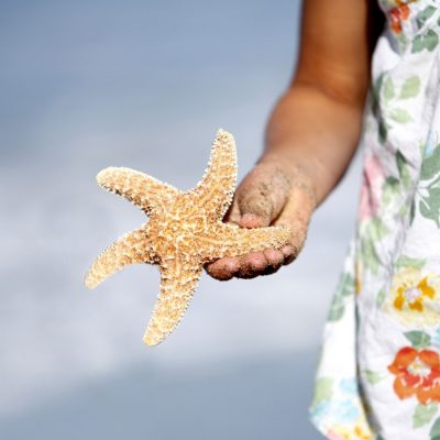 sea-star-starfish-child-mood-beach-1 sea-star-starfish-child-mood-beach-1